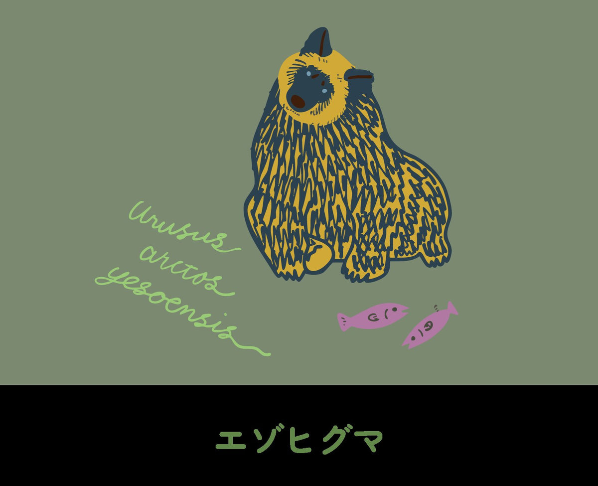 エゾヒグマ