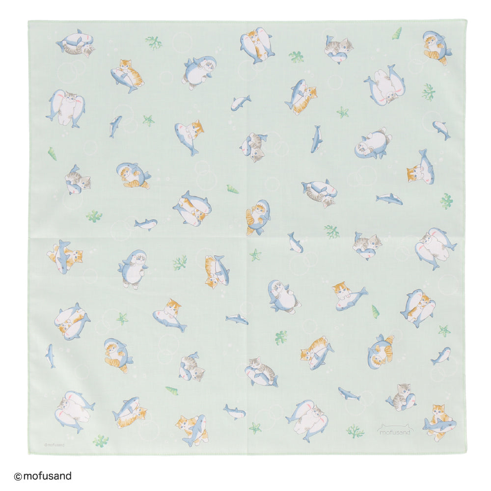 サンちゃん購入 71A8YbcXl9L._AC_UF350,