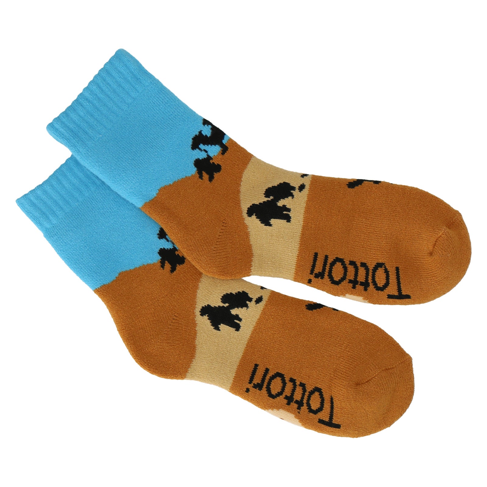 鳥取 鳥取砂丘 ソックス – INTERMODE KAWABE