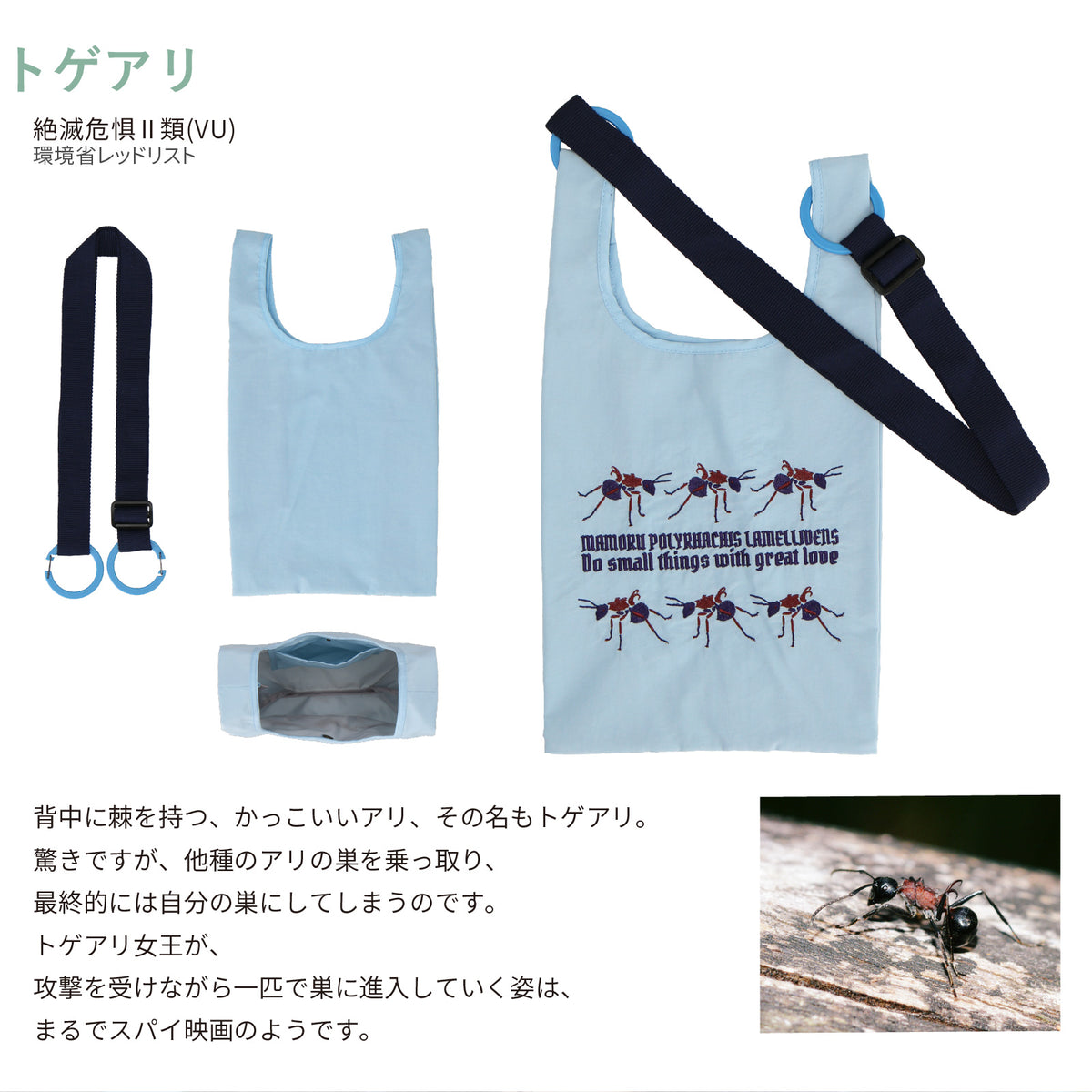 バッグ 小　トゲアリ