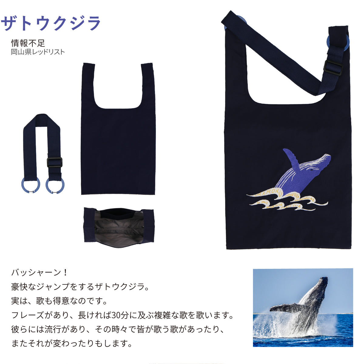 バッグ 大　ザトウクジラ