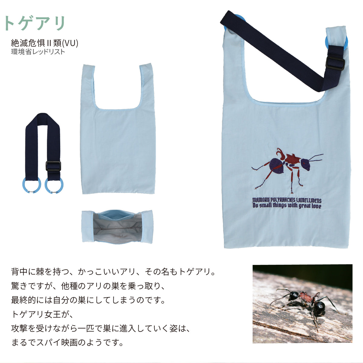 バッグ 大　トゲアリ