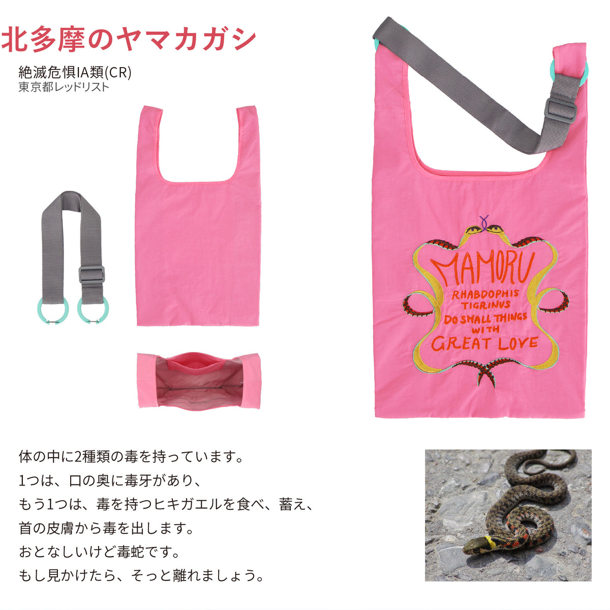 バッグ 大　北多摩のヤマカガシ