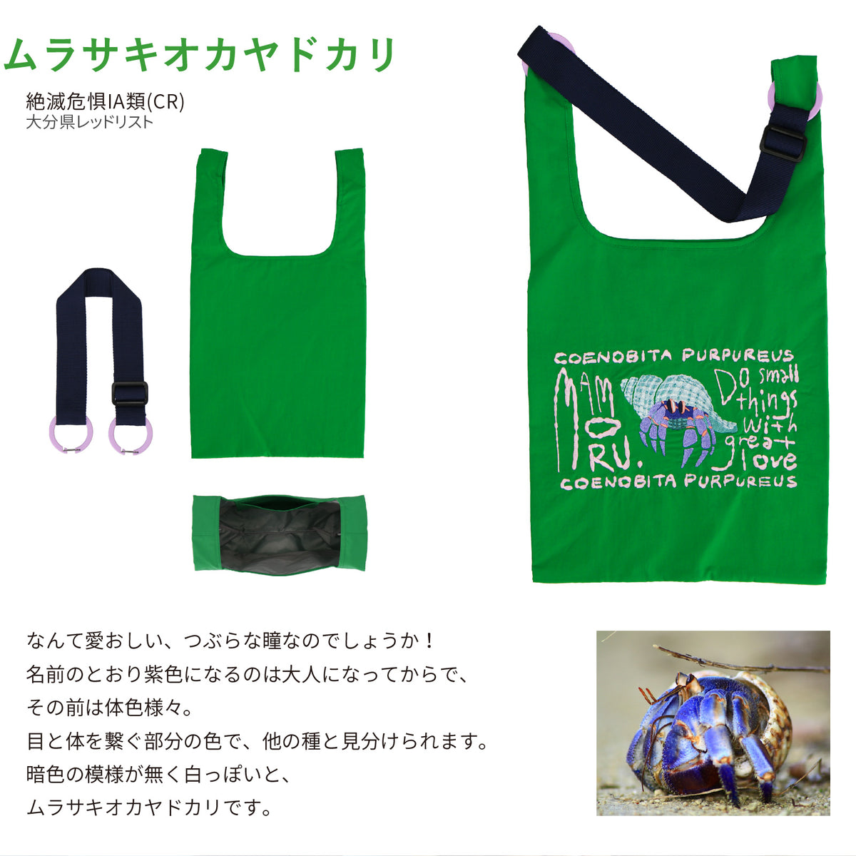 バッグ 大　ムラサキオカヤドカリ