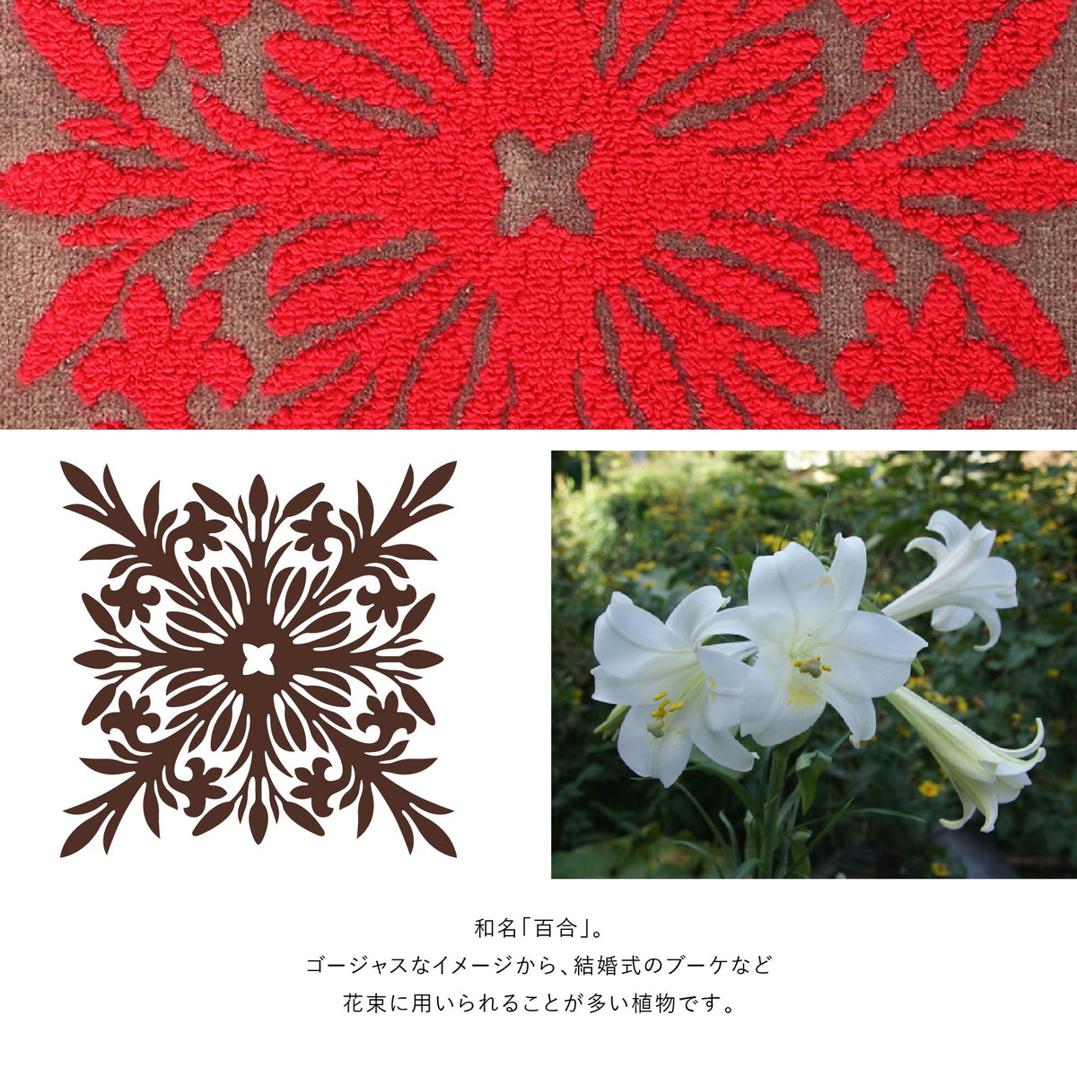 ミニタオル オルオルシリーズ　リリーモカ