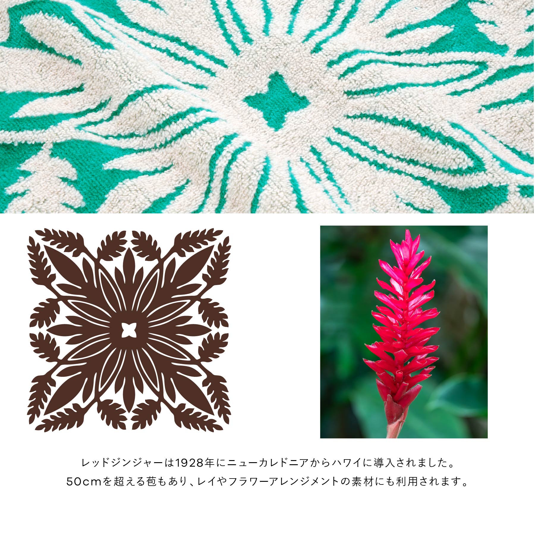 NEW】トートバッグ ノヘアシリーズ #239b レッドジンジャー