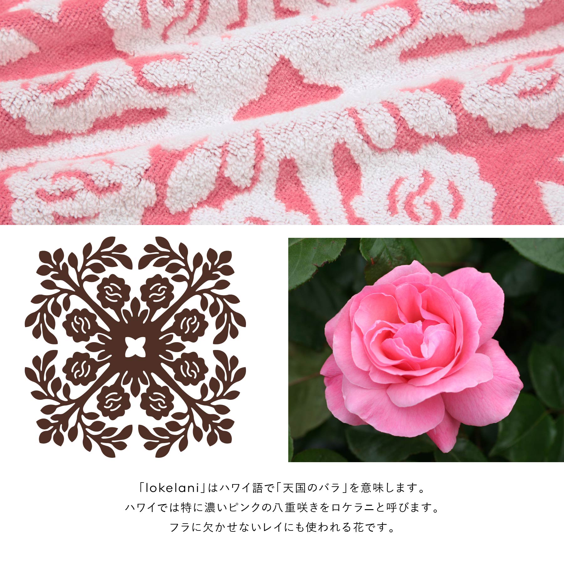 Kathy Mom Island Style – INTERMODE KAWABE