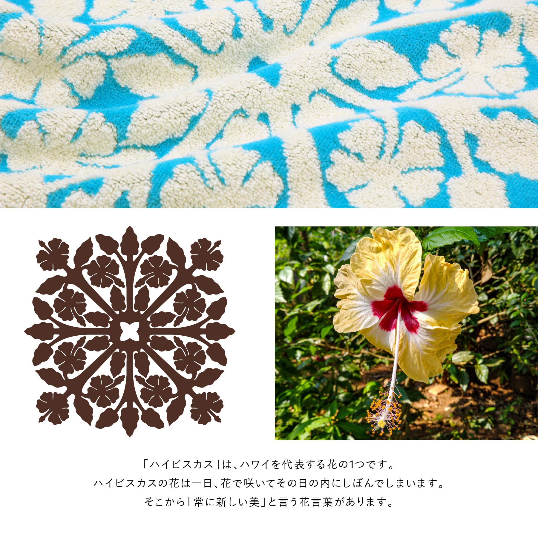 Kathy Mom Island Style – INTERMODE KAWABE