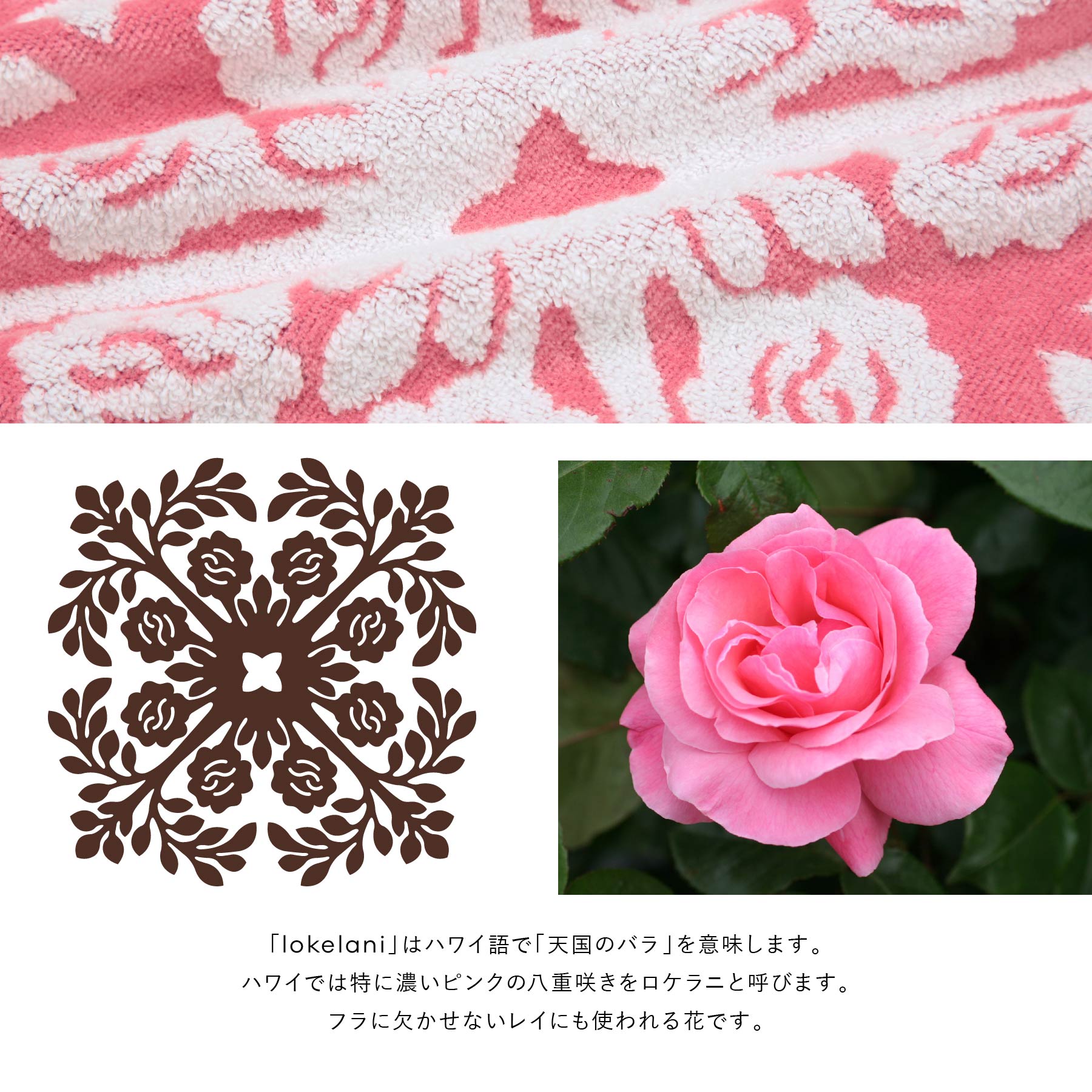 Kathy Mom Island Style – INTERMODE KAWABE