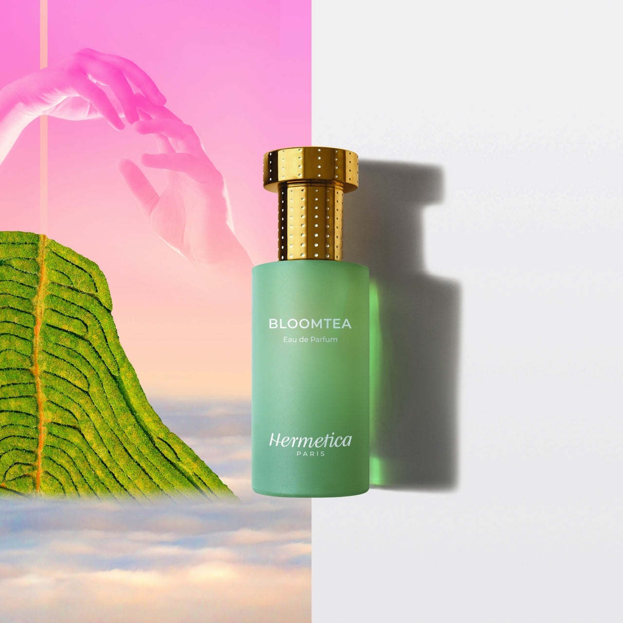 Hermetica – INTERMODE KAWABE