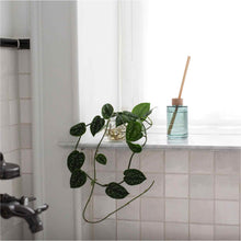 画像をギャラリービューアに読み込む, アークティスディフューザー　200mL
