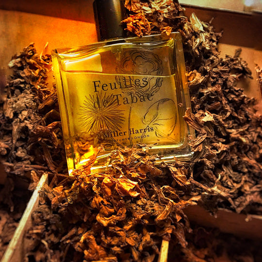FRAGRANCE – Page 3 – INTERMODE KAWABE