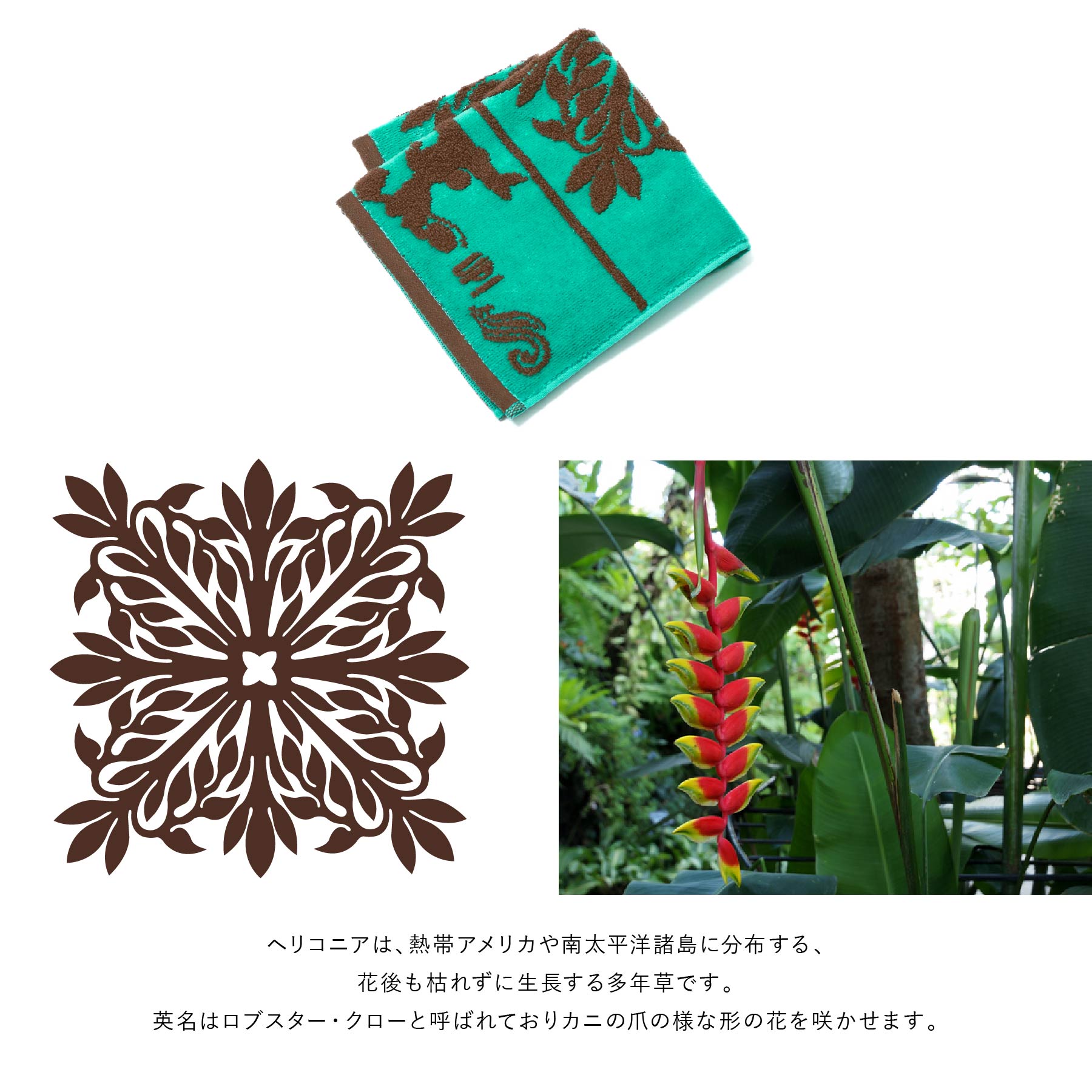 グリーンマウス KANI 取りまわせ