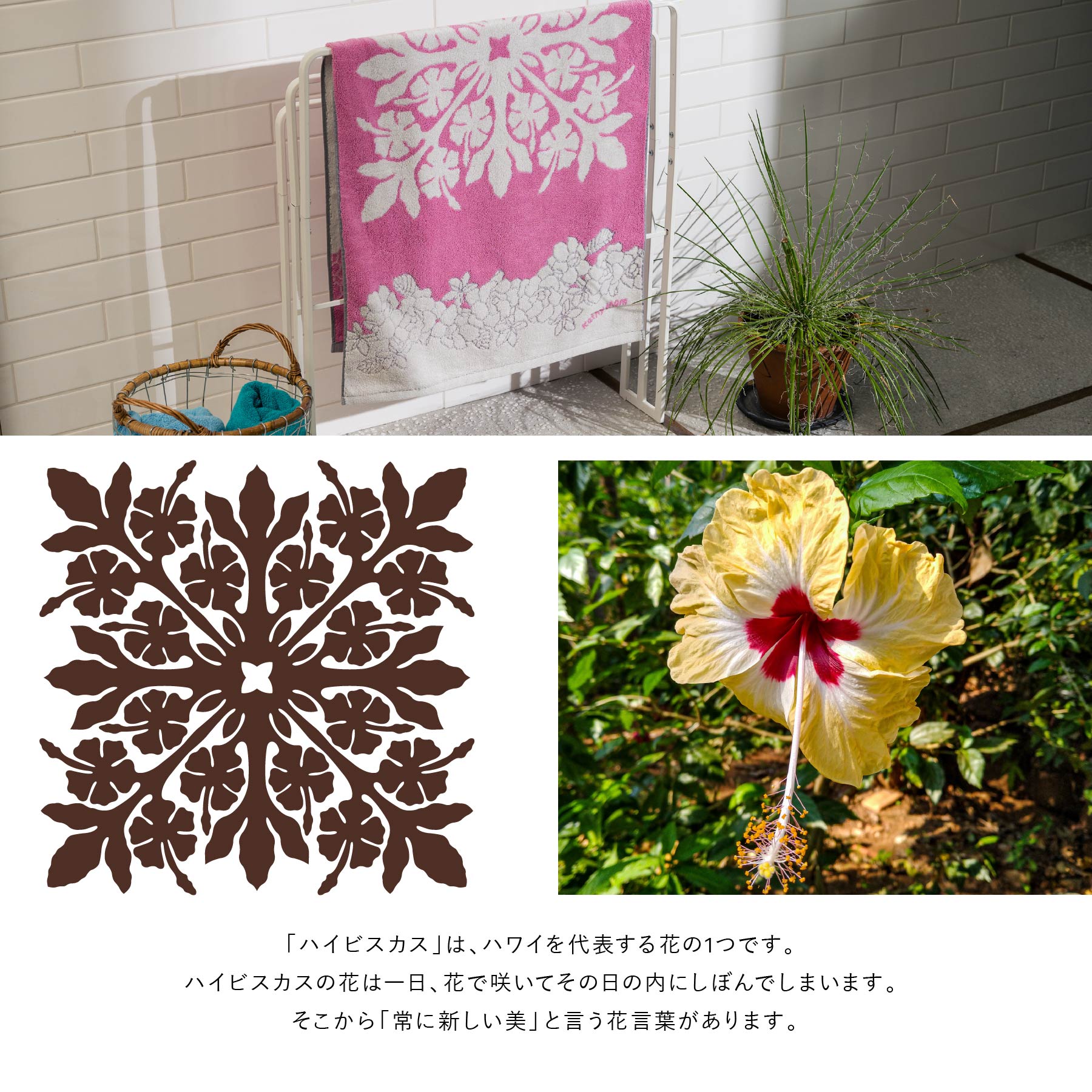 Kathy Mom Island Style – Page 7 – INTERMODE KAWABE