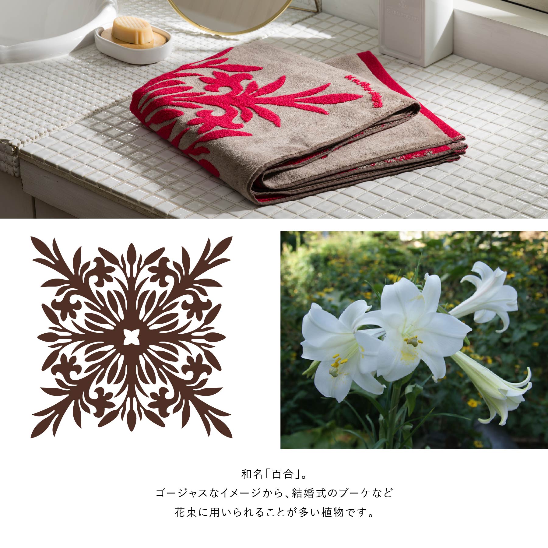 はるページ 詳説 渋1 見本 1997 Japanese ZX brochure