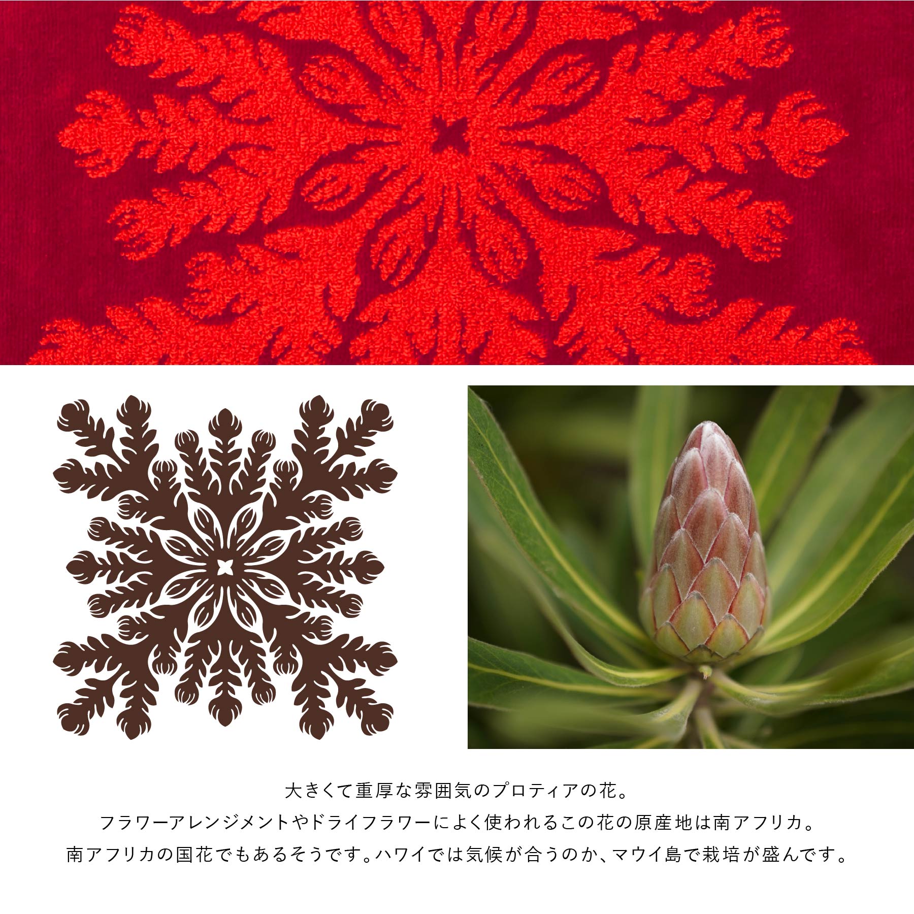 美品【ハナエモリパリ】赤ウールテーラードJK 金花ボタン 日本製 タオルピローカバー ハワイアンキルト柄 ビーハッピーシリーズ