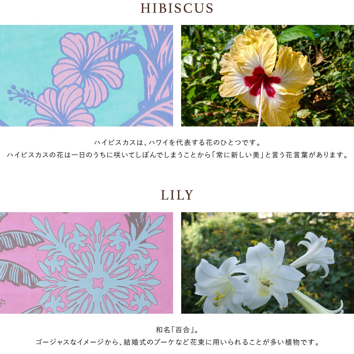 ガーゼケット オルオルシリーズ　バナナリーフ　ピンク