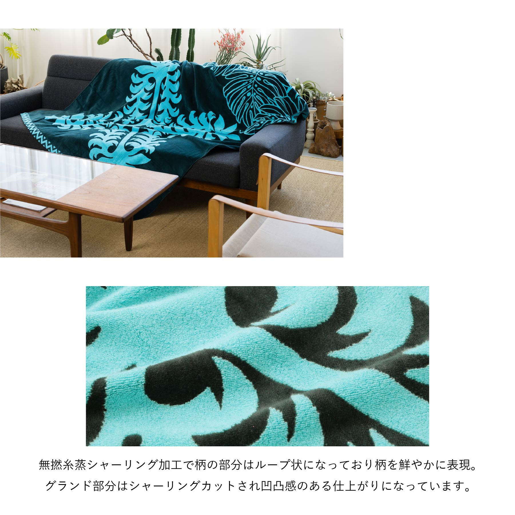 タオルケット ノヘアシリーズ withモンステラ ジェイドバイングリーン