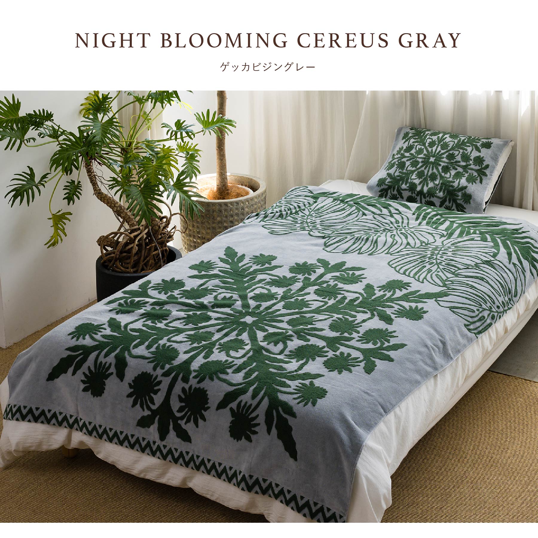 NEW】タオルケット ノヘアシリーズ withモンステラ #861f ゲッカビジン