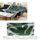 タオルケット ノヘアシリーズ withモンステラ　ゲッカビジングレー