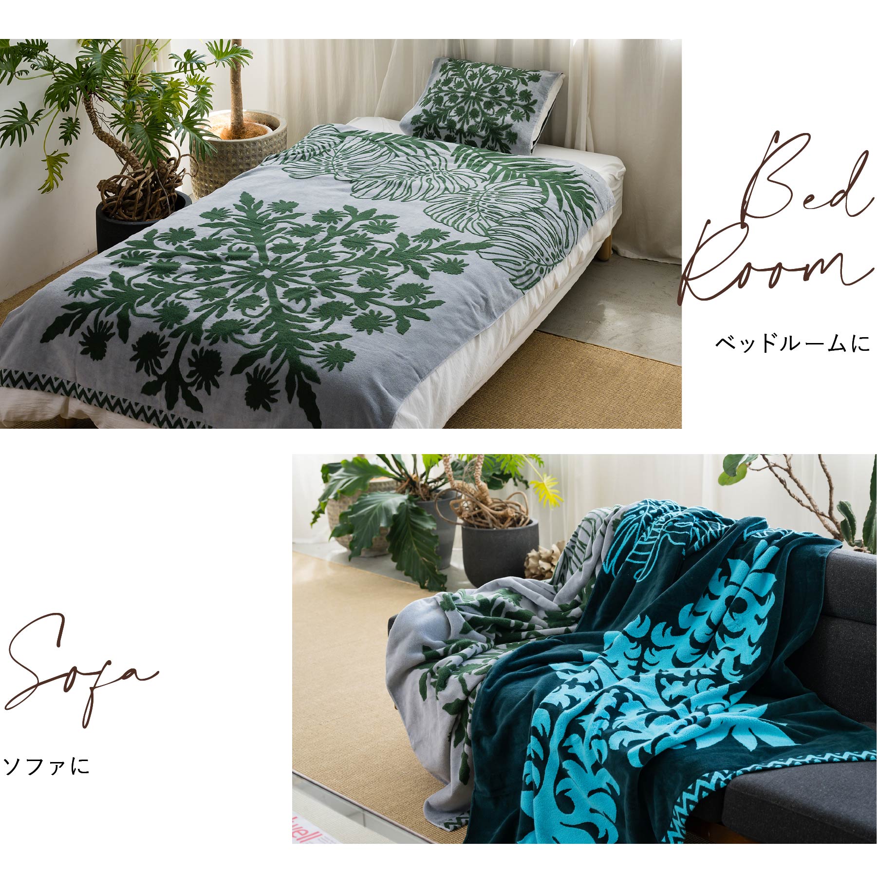 NEW】タオルケット ノヘアシリーズ withモンステラ #861f ゲッカビジン