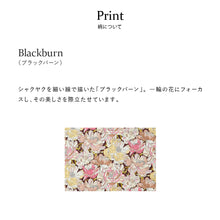 画像をギャラリービューアに読み込む, 【NEW】バッグインバッグ #187b Blackburn　モカベージュ
