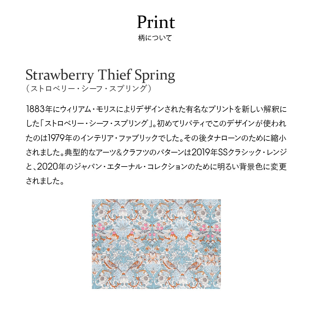 リバティプリント バッグインバッグ Strawberry Thief Spring　カーキ