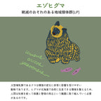 【石狩西部のエゾヒグマについて】
絶滅のおそれのある地域個体群(LP)
2024年度 大型哺乳類であるクマは環境の変化に非常に影響を受けやすい動物であります。ヒグマが北海道で自然に生息できる環境を整えるため、人間は知恵を絞って保護と管理の両立という難題に取り組んでいく必要があるのです。