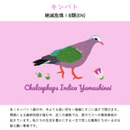 【キンバトについて】
絶滅危惧ⅠB類(EN)
あ！キンバト！森の中、木よりも低い所を一直線にすごい速さで飛びます。開発による森林伐採が進む中、近くの建物では、窓ガラスへの衝突事故が起きています。私たちの生活を豊かにする一方で苦しむ動物たちがいるのは耐え難い事実です。