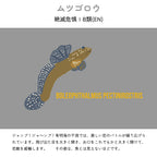 【ムツゴロウについて】
絶滅危惧ⅠB類(EN)
ジャンプ！ジャ～ンプ！有明海の干潟では、激しい恋のバトルが繰り広げられています。飛び出た目を大きく開き、お口をこれでもかと大きく開けて、恋敵を威嚇します。その姿は、魚とは思えないほどです。