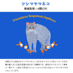 【ツシマヤマネコについて】
絶滅危惧ⅠA類(CR)
対馬だけに生息するツシマヤマネコ。大きさはイエネコと同じくらいですが、額の縦じまと立派な尻尾を見れば一目瞭然です。虎毛のヤマネコという意味で「虎ヤマ」と昔から呼ばれていたことから10月8日はツシマヤマネコの日になっています。