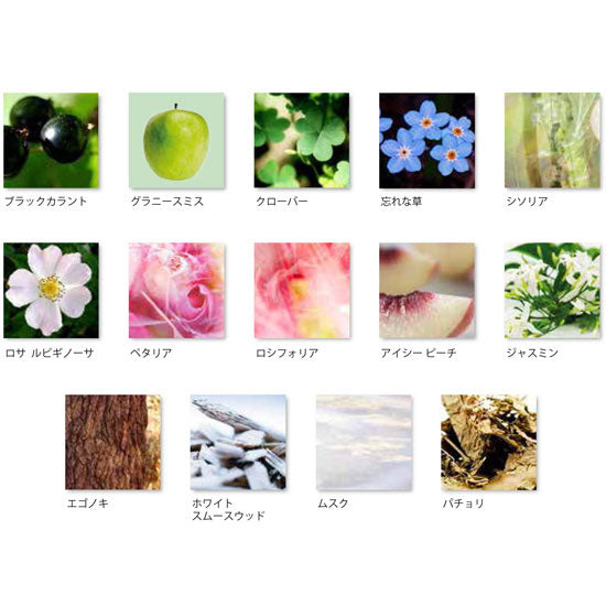 ディランブルー フェム オーデパルファム 50mL – INTERMODE KAWABE