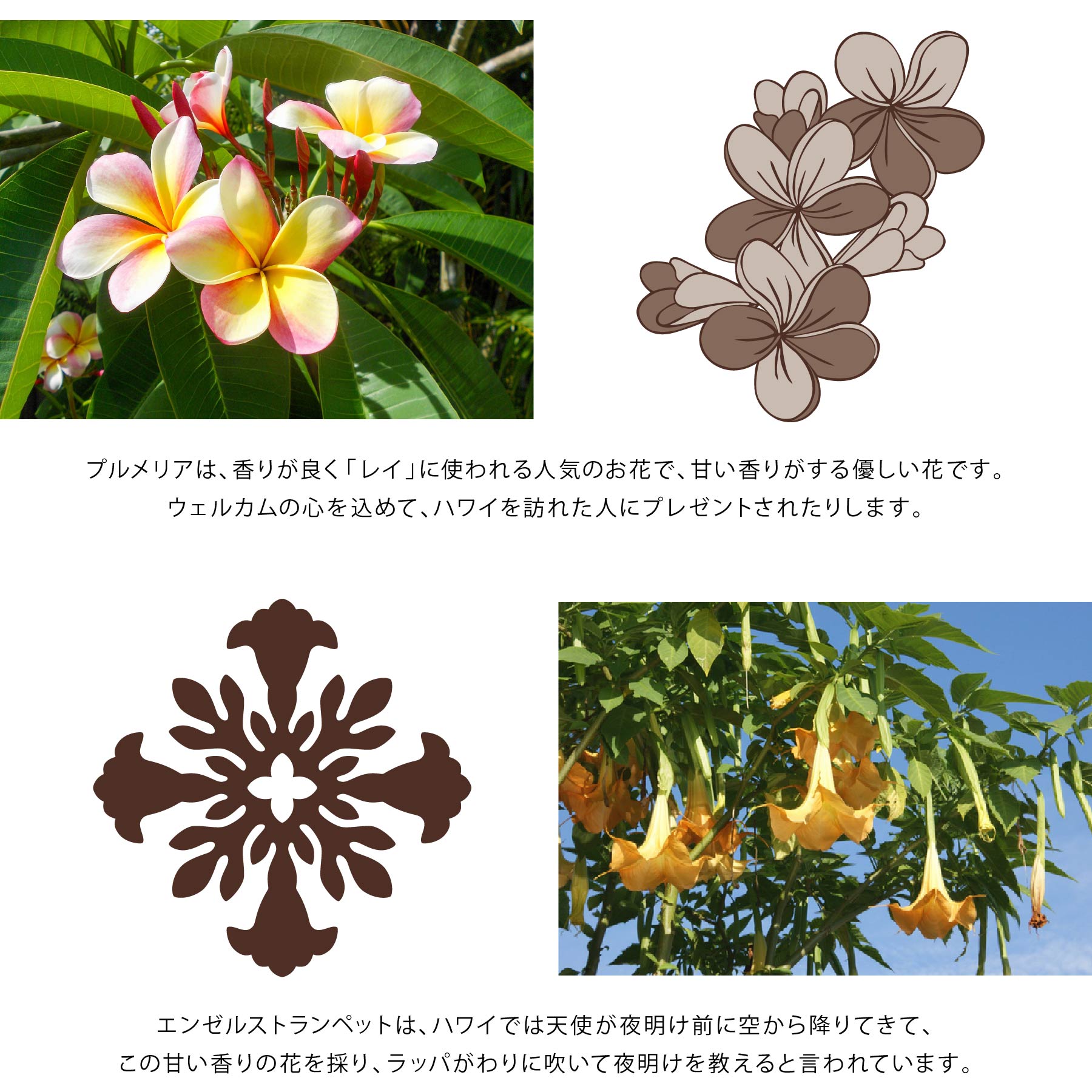掛け布団カバー セミダブル ハワイアンキルト柄 （オハナシリーズ ）　ピンク